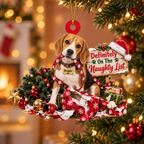 Personalized Dog Christmas Ornament – Definitely on the Naughty List Ornament