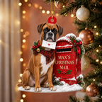 Personalized Dog Christmas Ornament – Custom Pet Name Christmas Mailbox Ornament