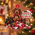 Personalized Dog Christmas Ornament – Definitely on the Naughty List Ornament