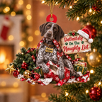Personalized Dog Christmas Ornament – Definitely on the Naughty List Ornament