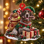 Personalized Dog Christmas Ornament – Santa’s Little Helper Custom Pet Name Ornament