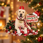 Personalized Dog Christmas Ornament – Definitely on the Naughty List Ornament