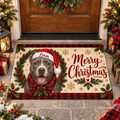 Custom Pet Doormat – Santa Dog, Plaid Wreath, Merry Christmas