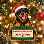 Acrylic ornament of a Rottweiler in a Santa hat with paws on a green gift box labeled To Grandpaw and Grandmaw, Love, Gunner
