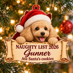 Naughty List 2026 Custom Name Dog Ornament