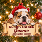 Naughty List 2026 Custom Name Dog Ornament