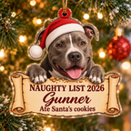 Naughty List 2026 Custom Name Dog Ornament