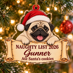 Naughty List 2026 Custom Name Dog Ornament
