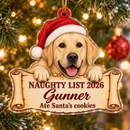 Naughty List 2026 Custom Name Dog Ornament