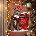 Personalized Dog Christmas Ornament – Custom Pet Name Christmas Mailbox Ornament